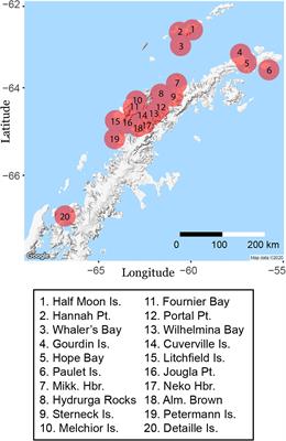 Social Sensors for Wildlife: Ecological Opportunities in the Era of Camera Ubiquity